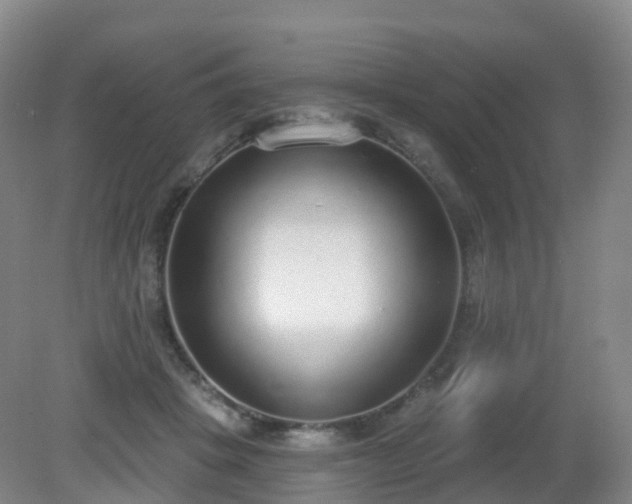 X0000081320457200701181933