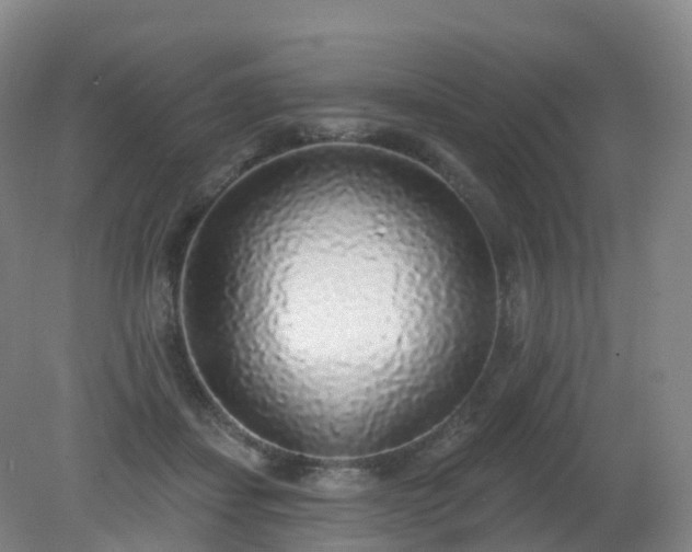 X0000081320459200701181933