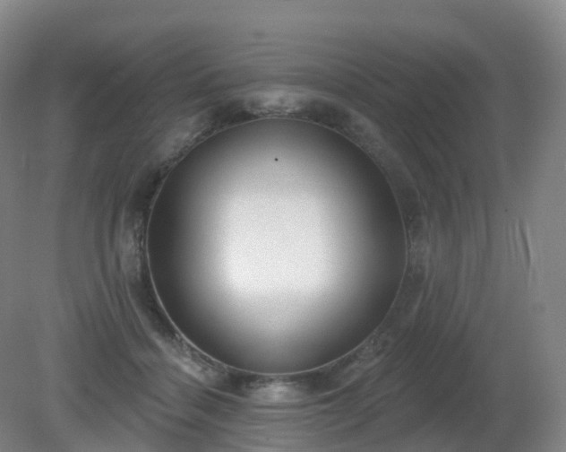 X0000081320460200701181933
