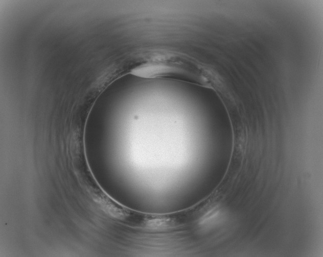 X0000081320461200701181933