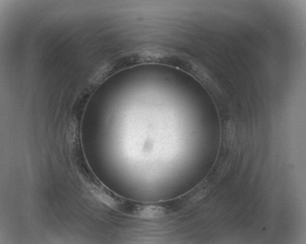 X0000081320463200701181933