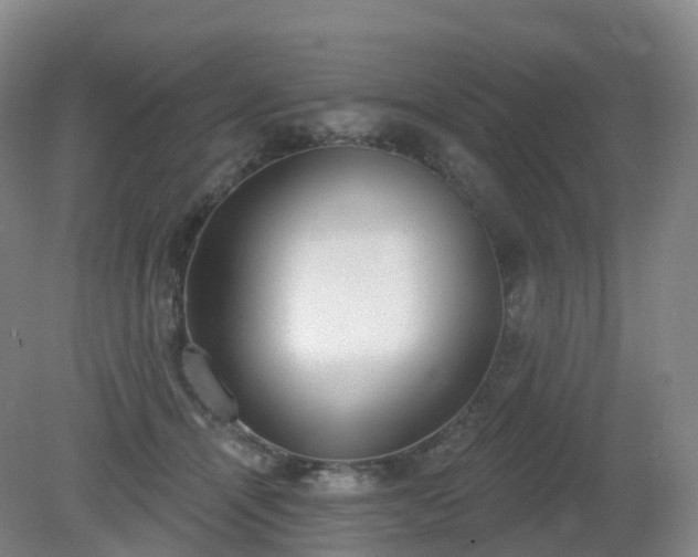 X0000081320464200701181933