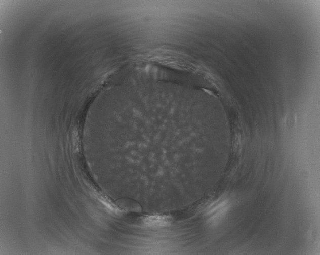 X0000081320465200701181933