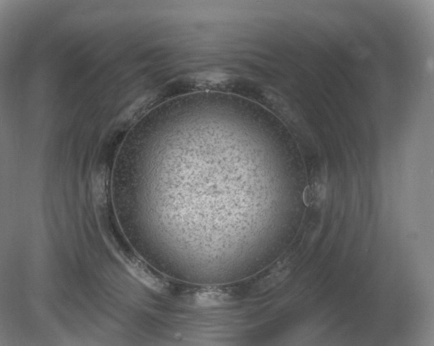 X0000081320468200701181933