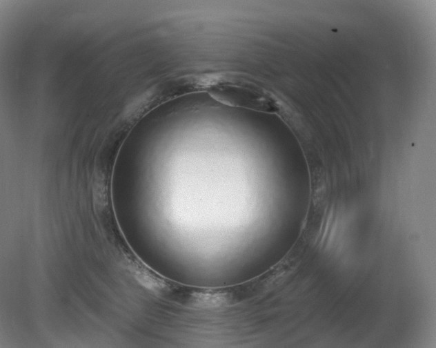 X0000081320469200701181933