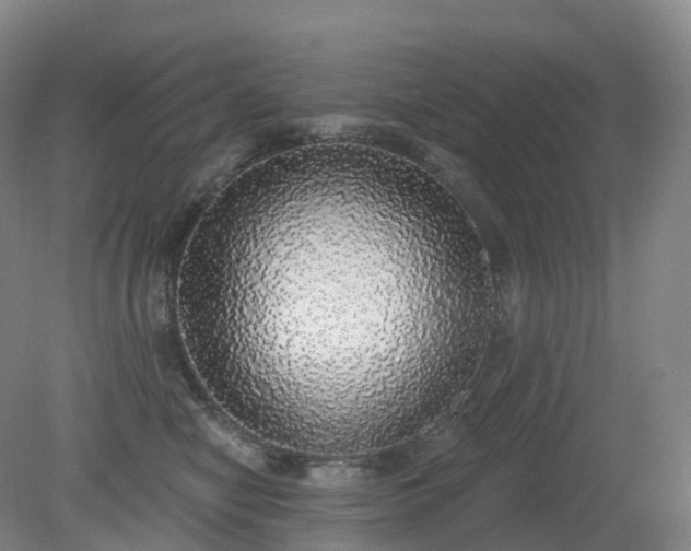 X0000081320470200701181933