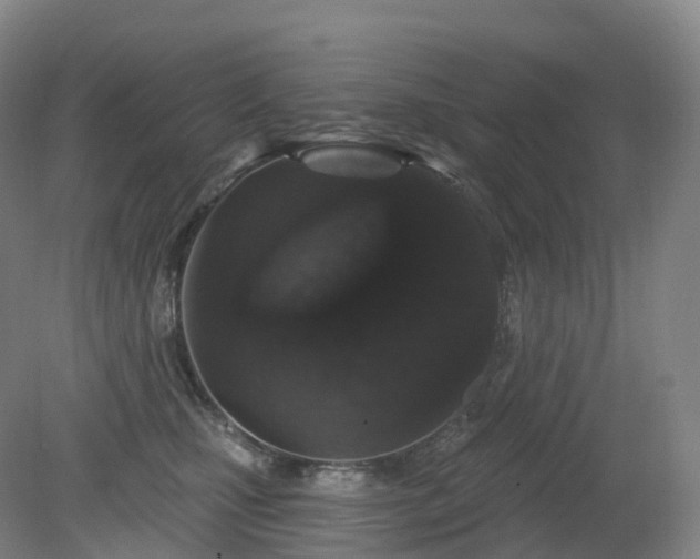 X0000081320471200701181933