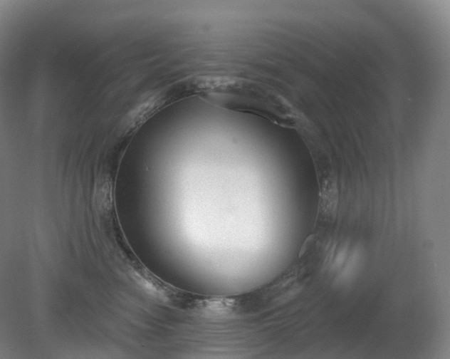 X0000081320474200701181933