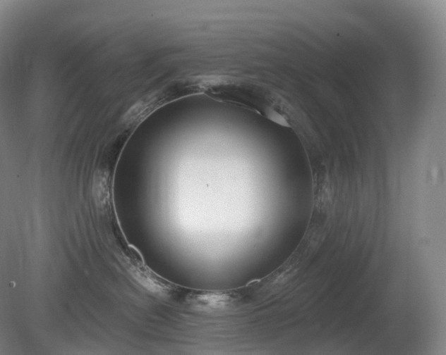 X0000081320478200701181933