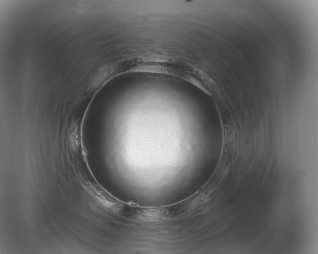 X0000081320479200701181933