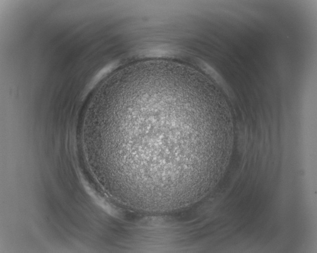 X0000081320482200701181932