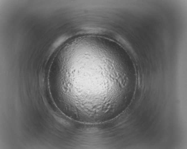 X0000081320483200701181932