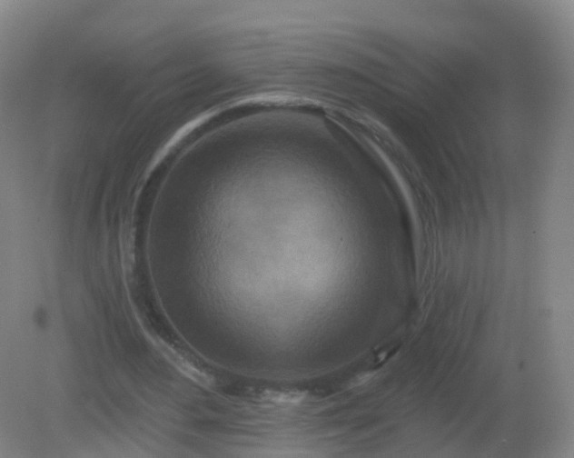 X0000081320484200701181932