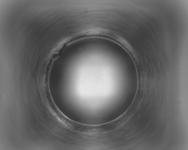 X0000081320485200701181932