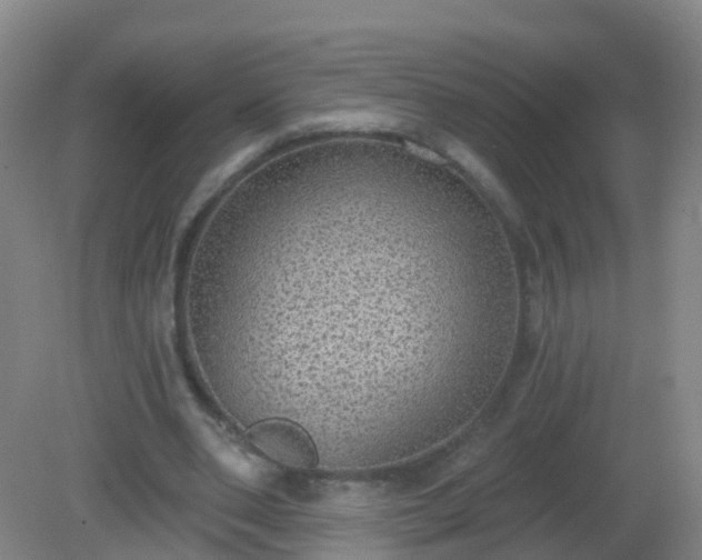 X0000081320486200701181932