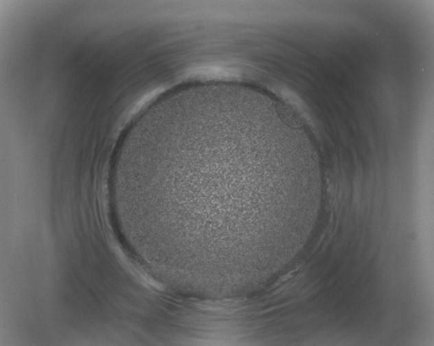 X0000081320487200701181932