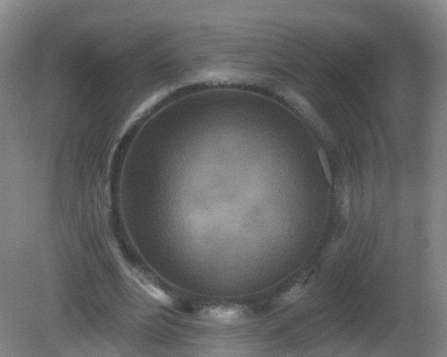 X0000081320488200701181932