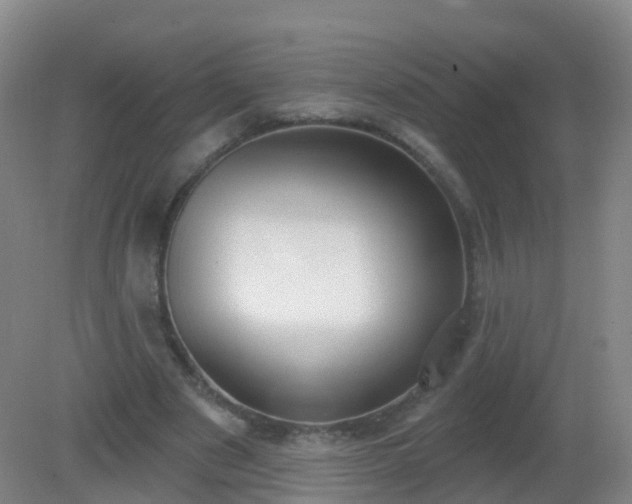 X0000081320489200701181932