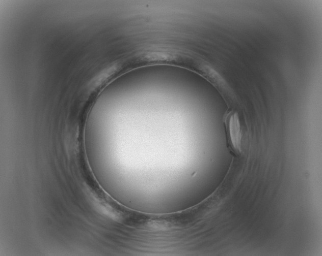 X0000081320490200701181932
