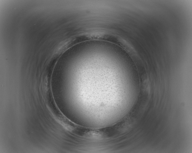 X0000081320498200701181932