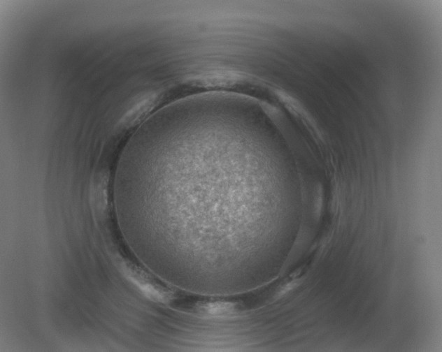 X0000081320501200701181932