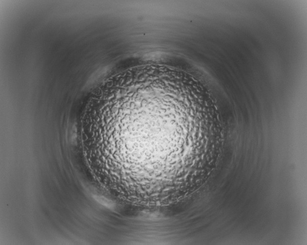 X0000081320502200701181932