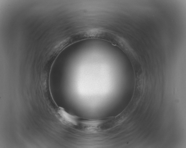 X0000081320505200701181932