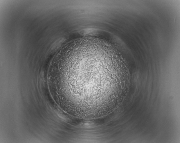 X0000081320506200701181932