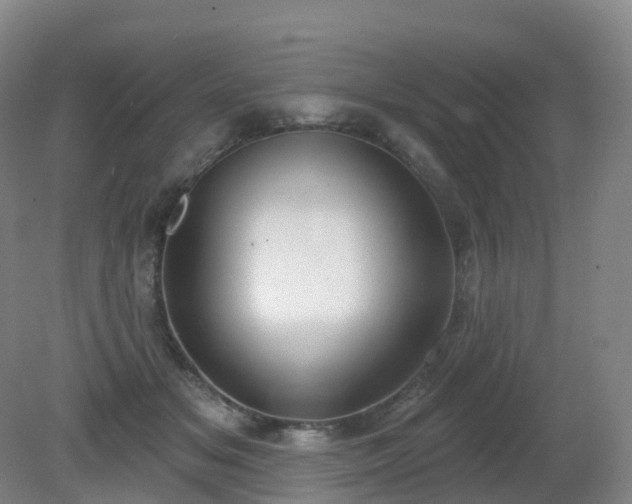 X0000081320509200701181932