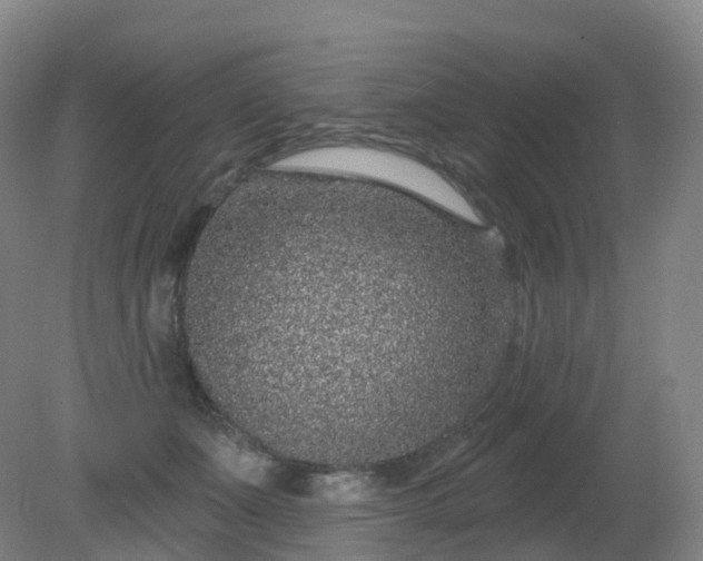 X0000081320511200701181932
