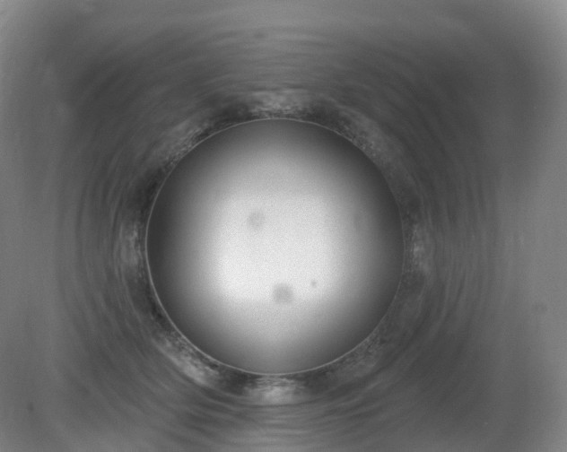 X0000081320514200701181932