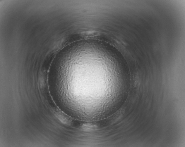 X0000081320515200701181932