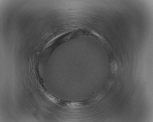 X0000081320517200701181931