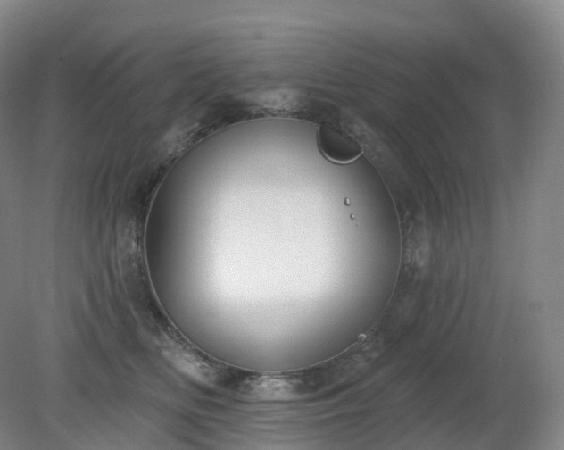 X0000081320518200701181931