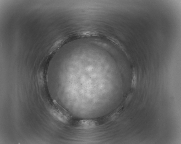 X0000081320520200701181931