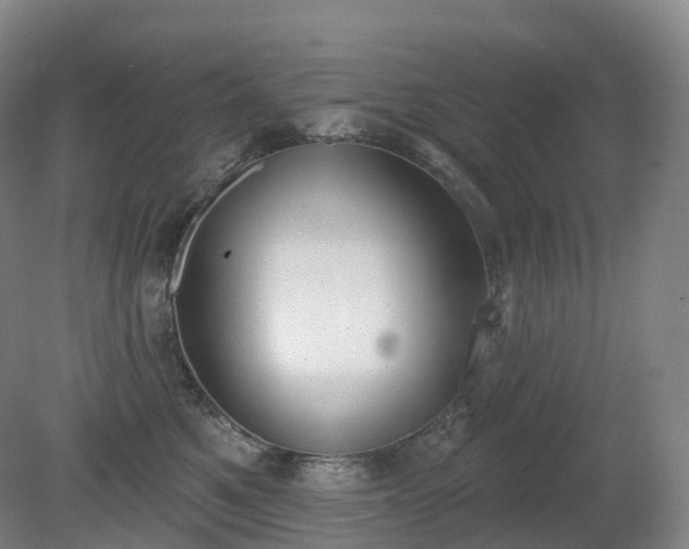 X0000081320521200701181931