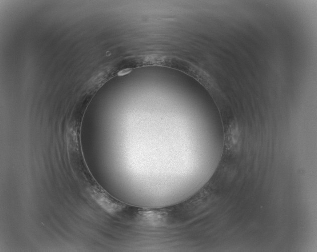 X0000081320522200701181931