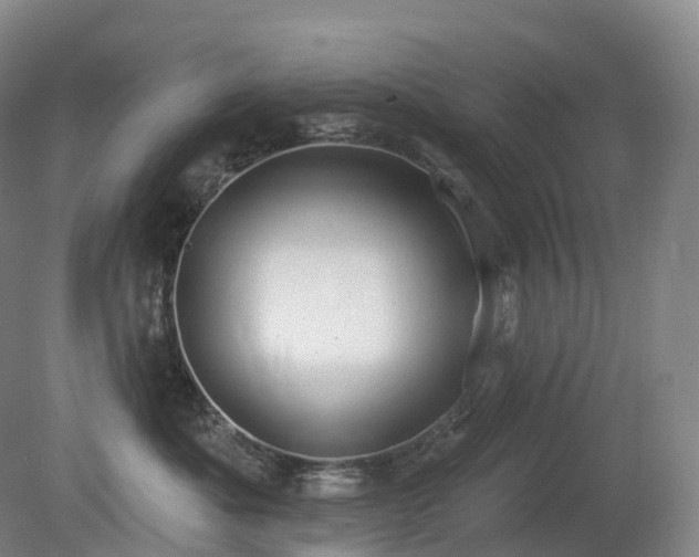 X0000081320525200701181931