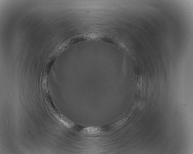 X0000081320526200701181931