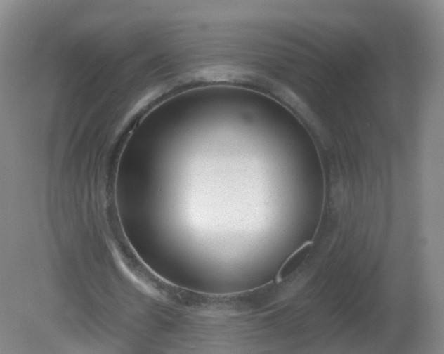 X0000081320530200701181931