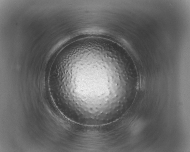 X0000081320531200701181931