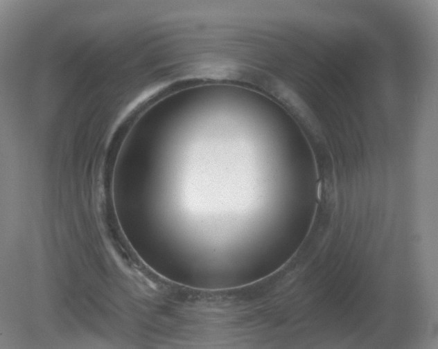 X0000081320532200701181931