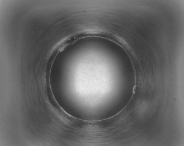 X0000081320535200701181931