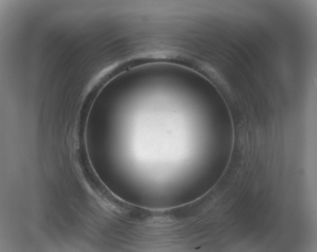 X0000081320536200701181931