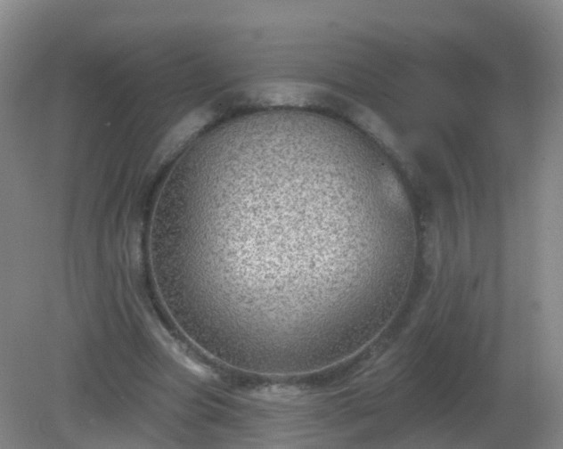 X0000081320537200701181931