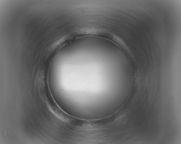 X0000081320538200701181931