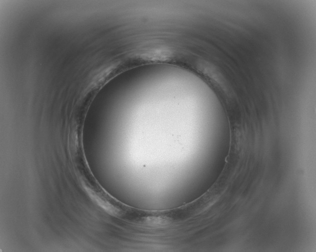X0000081320541200701181931