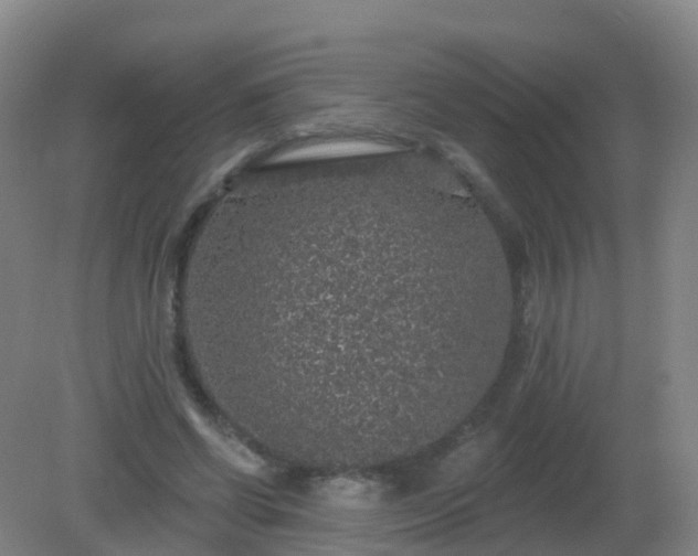 X0000081320542200701181931