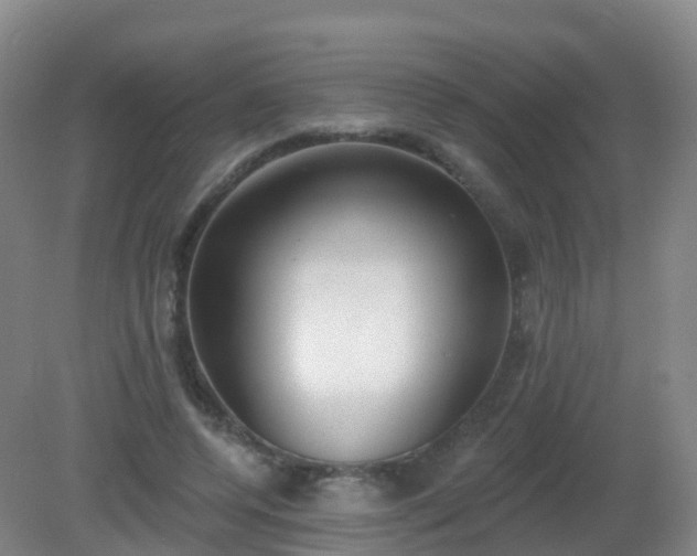 X0000081320544200701181931