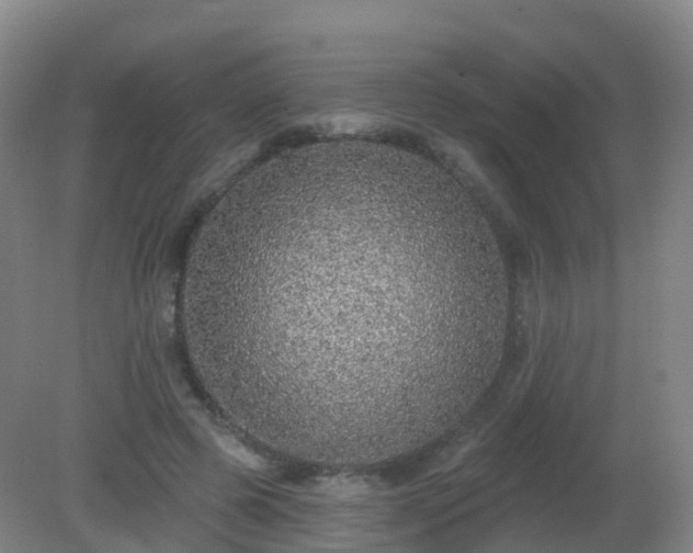 X0000081320545200701181931